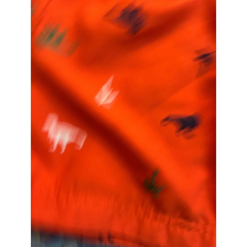Hanna Andersson Swim Trunks Orange Dinosaur Palm Tree Embroidered Boys bin B‎